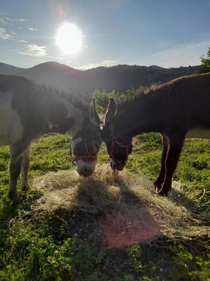 Volver B&B Spoleto Eksteriør bilde
