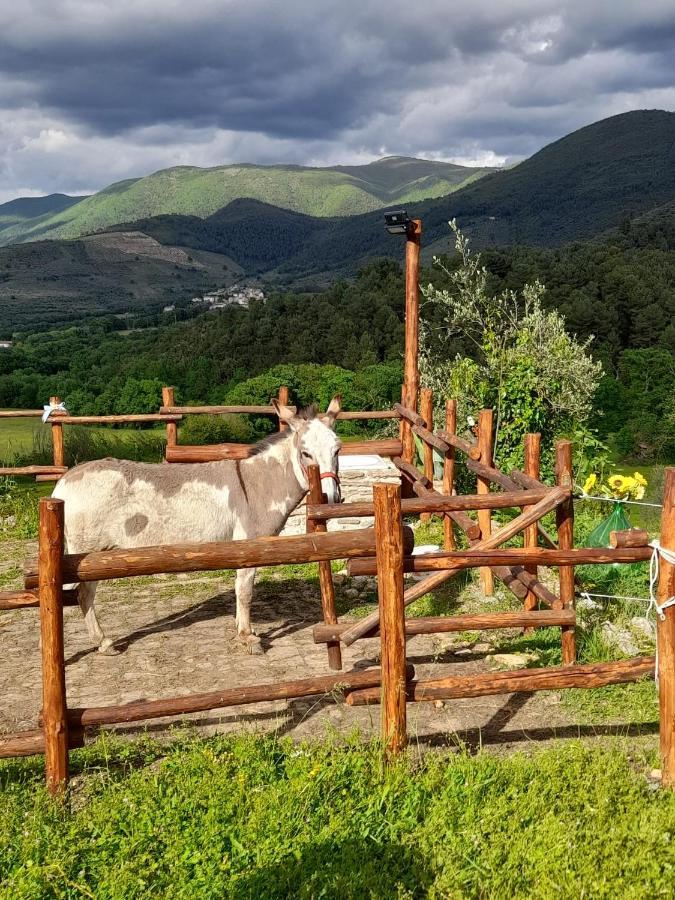 Volver B&B Spoleto Eksteriør bilde