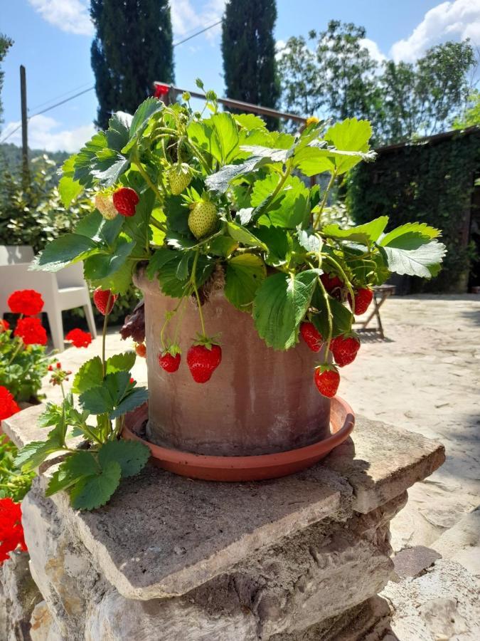 Volver B&B Spoleto Eksteriør bilde
